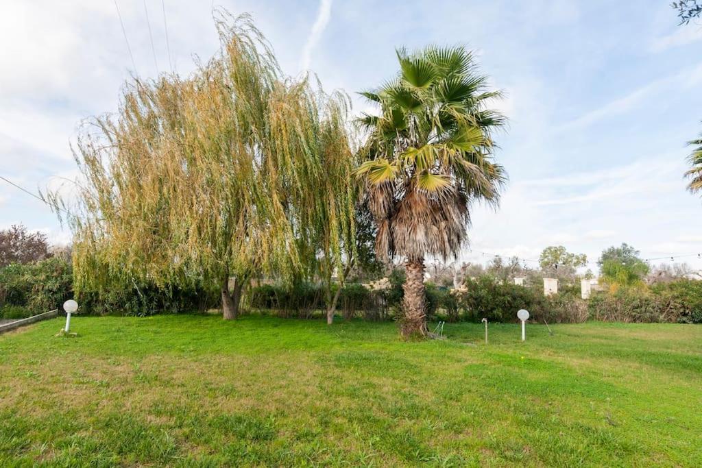 Villa Delle Stelle Con Piscina Leverano Zewnętrze zdjęcie